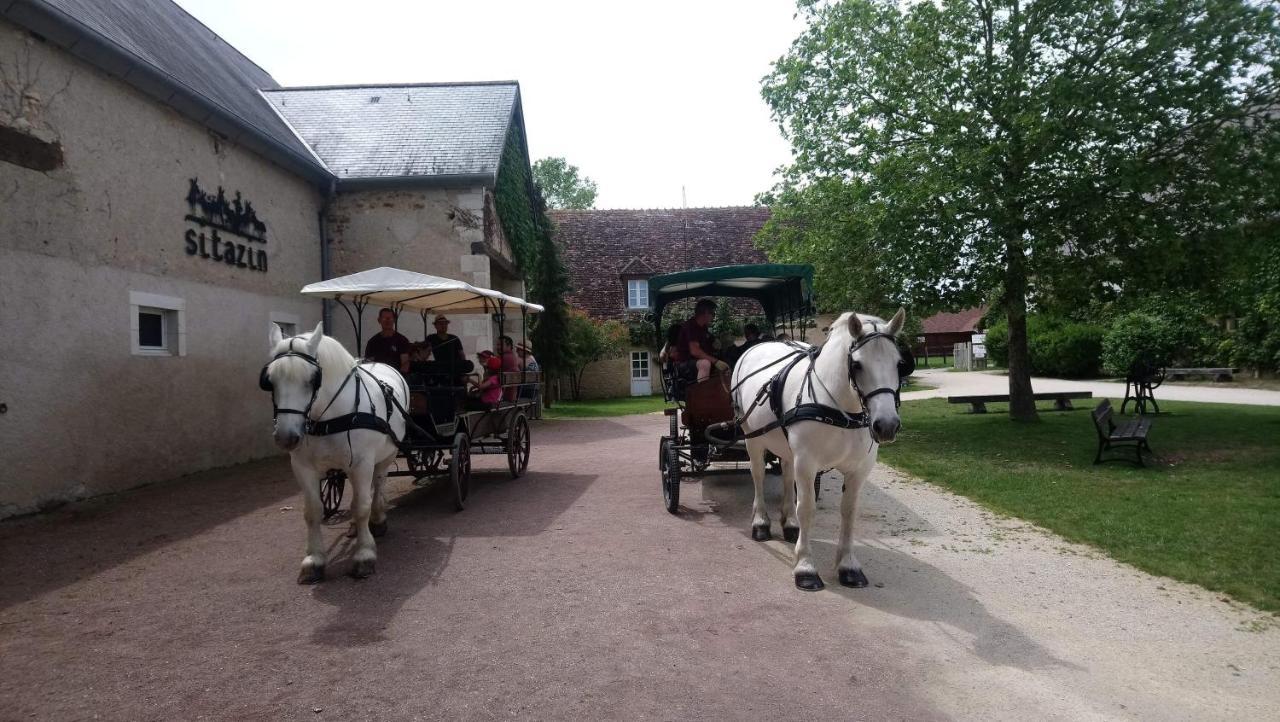 Le Village De Cottages - Le Pole Du Cheval Et De L'Ane Lignières Exteriér fotografie